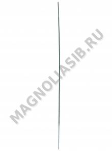 Стебель утолщенный без листа 55см