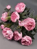 Букет пионов натуральных с бутонами 10 гр 48 см (бел крас бел-роз пепел-роз роз-сир)