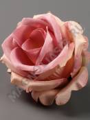 Роза Кружевная  сатин 6сл 7см (мол бор гол перс роз-крем пеп-сир)