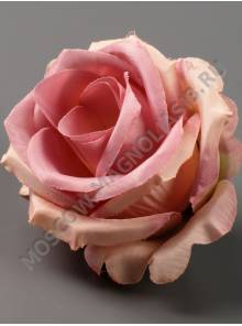 Роза Кружевная сатин 6сл 7см (мол бор гол перс роз-крем пеп-сир)