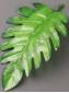 Лист монстеры без ножки, шелк 17/19см 