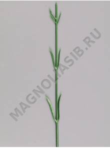 ***Стебель гвоздики 36см