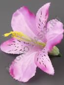 Лилия-орхидея хлопок 12см без тычинки (крас син мол-роз желт роз сир)(тычинка см 2200,2211)