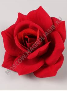 Роза Барселона бархат 4сл 14см (темно-красный)/К 