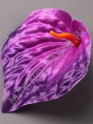 Калла атлас рифленая 12*13см(бел крас син борд фио) пестик см 2283  2270  2212  2202.