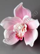 Дикая орхидея плотный атлас 12см (бел мол крас св-роз роз сир-мол желт)