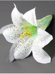 Лилия глубокая хлопок 1сл 12.5см без тычинки (бел перс роз фиол) (тыч см.2200, 2205, 2211)