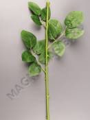 Стебель для розы 63см 