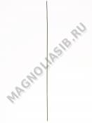 Стебель эконом 36 см без листьев