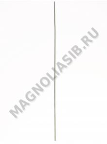 Стебель эконом 36 см без листьев