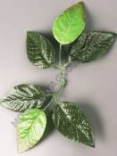 Лист розы большой шёлк 6 листьев 25см (для стандартного стебля)