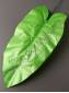 РАСПРОДАЖА Лист Банана шёлк 30/47см