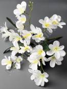 Букет орхидеи стелящейся 6гр 40см (мол роз мал син)