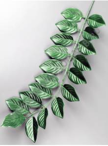 Ветка рускуса темно-зеленая шелк 37/55 см.