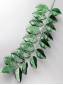 Ветка рускуса темно-зеленая шелк 37/55 см.