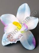 Орхидея хлопок 11см (бел лим мол-роз св-роз роз-сир мал-перс сир гол) 