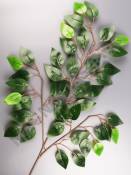 Ветка фикуса зеленого 61см