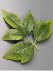 Лист пиона с прожилками хлопок  15.5см 