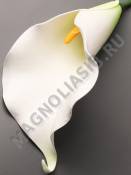 Калла латекс с пестиком 20см (син лайм борд)