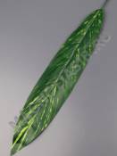 Лист щучий хвост Аспидистра вощеный 37/52см