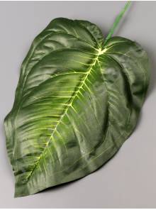 РАСПРОДАЖА. Лист Диффенбахии темно-зеленый хлопок 19/32 см 