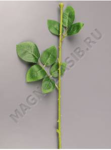 Стебель для розы 55см