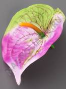 Антуриум с рис плотный атлас 1сл 12.5см с пестиком (бел крас лайм роз сир перс жёлт)