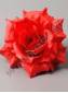Роза Бенгальская тонкий шёлк 6 сл 13.5см (крас)/К