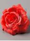 Роза Империал тонкий хлоп 6сл 12см (крас)/К