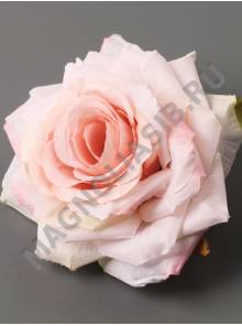 Роза Авангард хлопок 11см (бел крас борд св-сир перс роз)