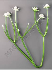 Москва***Добавка пластм тройная с мелк бутончиками 10см