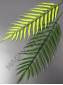 Лист папоротника пластм  28/41 см (зеленый, ярко-зел)