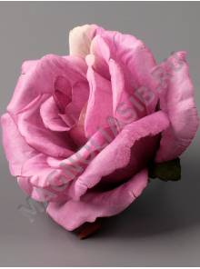 Роза Фиджи неткан 5 сл 10.5см (бел крас син борд крем перс сир)/К