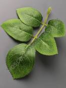 Лист розы с прожилками хлопок 5 лист боковой 13см (зел. осень)