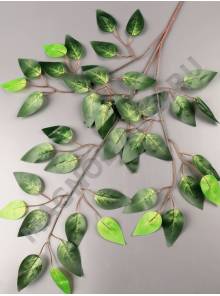 Ветка фикуса Роза 62см