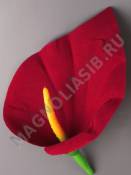 ***Калла бархат 1сл 12см без пестика (борд крас) (пестик см. 2208 2206)
