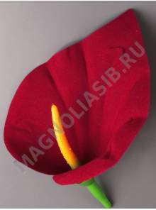 ***Калла бархат 1сл 12см без пестика (борд крас) (пестик см. 2208 2206 2213)