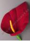 ***Калла бархат 1сл 12см без пестика (борд крас) (пестик см. 2208 2206)