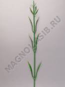 Стебель гвоздики флористической 53см