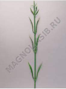 Стебель гвоздики флористической 53см