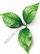 ***Лист розы тройной шёлк 23см 