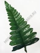 ***Лист папоротника шёлк 21см 