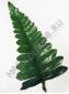 ***Лист папоротника шёлк 21см 