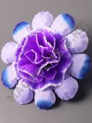 ***Георгин с махровой серединкой 4сл 12см ( бел крас син роз сир желт сир-син)