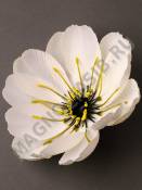 Анемона плотный атлас 2сл 17см (бел крас гол мол мол-роз роз жёл сир микс)/К