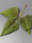 Лист папоротника Орляк 3 листа матовый хлопок 24см