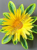 Ромашка игольчатая на листе 2сл 18см (син сир желт роз)