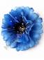 Василек шёлк 3сл 9см (бел-фио син)