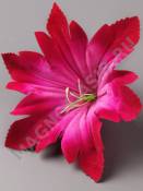 ***Звёздочка бархат 1сл 15см без тычинки (мал-бел мал-роз) (тычинка см. 2207)  