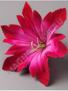 ***Звёздочка бархат 1сл 15см без тычинки (мал-бел мал-роз) (тычинка см. 2207)  